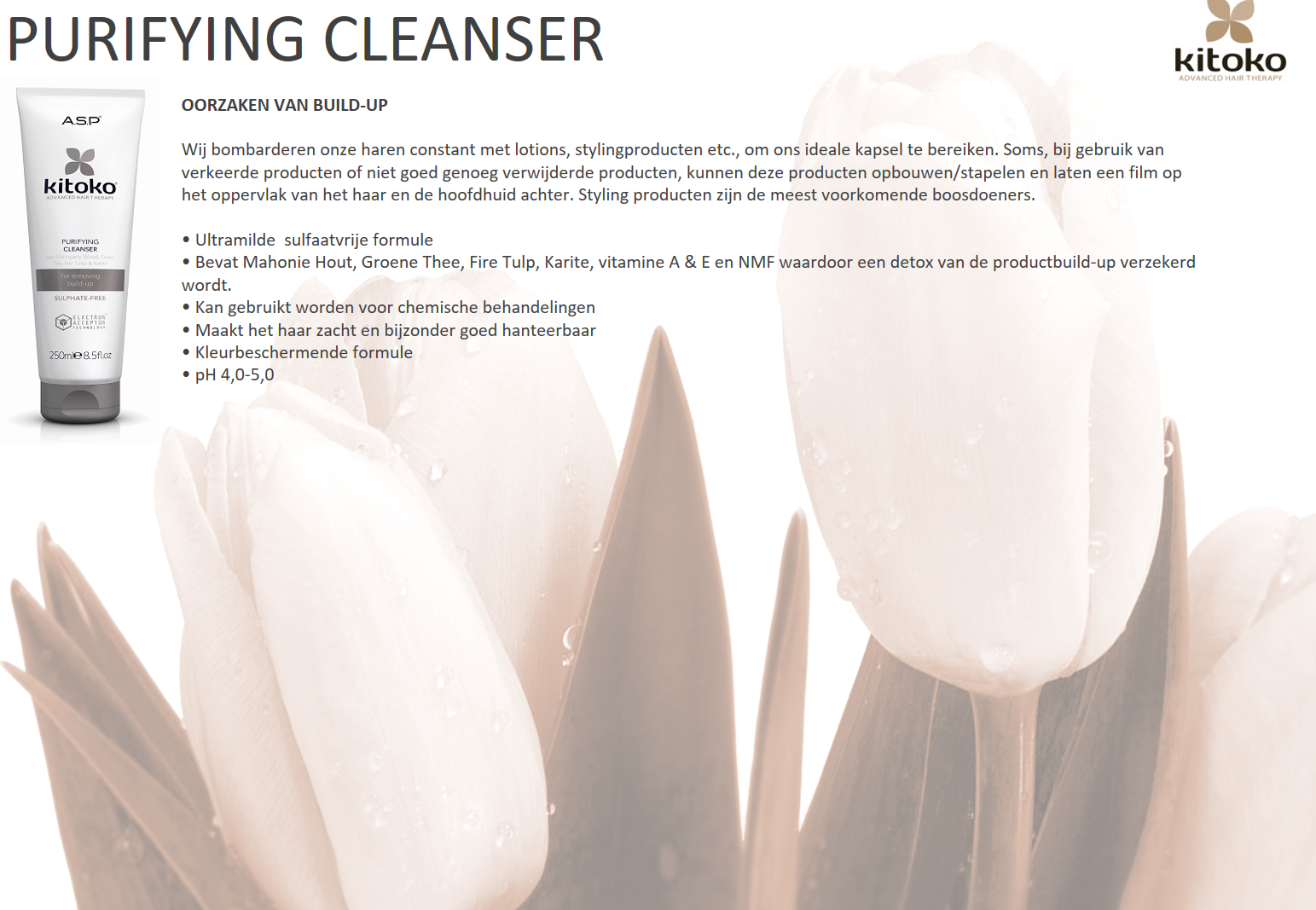 kitoko-purifying-cleanser.png